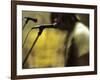 One Toy Soldier at Microphone-Phil Sharp-Framed Photographic Print