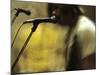 One Toy Soldier at Microphone-Phil Sharp-Mounted Photographic Print