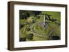 One Tree Hill Domain, Auckland, North Island, New Zealand-David Wall-Framed Photographic Print