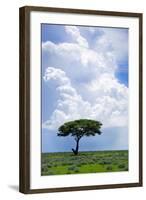 One Tree with Heavy Thunder Clouds in the Background-tish1-Framed Photographic Print