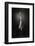 One Up, One Down-Ross Oscar-Framed Photographic Print