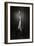 One Up, One Down-Ross Oscar-Framed Photographic Print