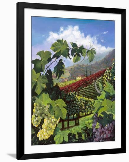 One Vine Day-Scott Westmoreland-Framed Art Print