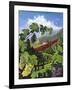 One Vine Day-Scott Westmoreland-Framed Art Print