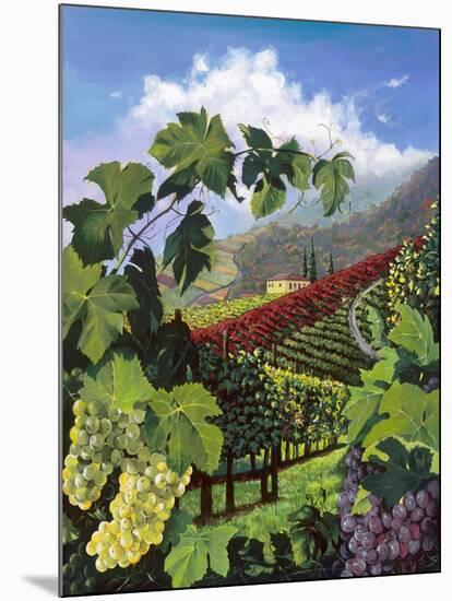One Vine Day-Scott Westmoreland-Mounted Art Print