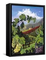 One Vine Day-Scott Westmoreland-Framed Stretched Canvas