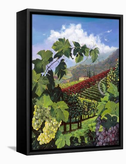 One Vine Day-Scott Westmoreland-Framed Stretched Canvas