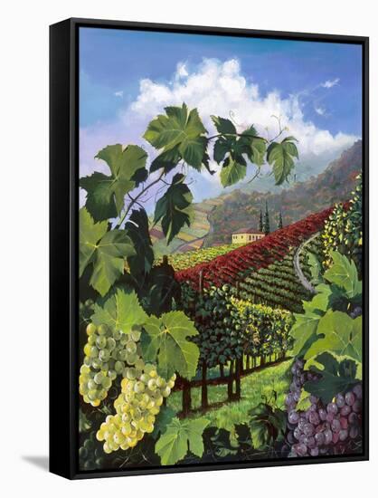 One Vine Day-Scott Westmoreland-Framed Stretched Canvas