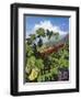 One Vine Day-Scott Westmoreland-Framed Art Print