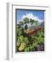 One Vine Day-Scott Westmoreland-Framed Art Print