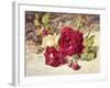 One White and Two Red Roses and Buds-Helen Cordelia Coleman Angell-Framed Giclee Print