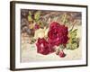 One White and Two Red Roses and Buds-Helen Cordelia Coleman Angell-Framed Giclee Print