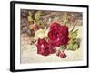 One White and Two Red Roses and Buds-Helen Cordelia Coleman Angell-Framed Giclee Print