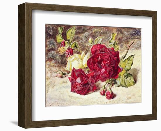 One White and Two Red Roses and Buds-Helen Cordelia Coleman Angell-Framed Giclee Print