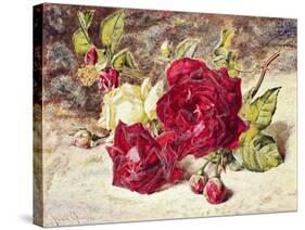 One White and Two Red Roses and Buds-Helen Cordelia Coleman Angell-Stretched Canvas