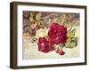 One White and Two Red Roses and Buds-Helen Cordelia Coleman Angell-Framed Giclee Print