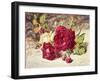 One White and Two Red Roses and Buds-Helen Cordelia Coleman Angell-Framed Giclee Print