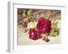 One White and Two Red Roses and Buds-Helen Cordelia Coleman Angell-Framed Giclee Print