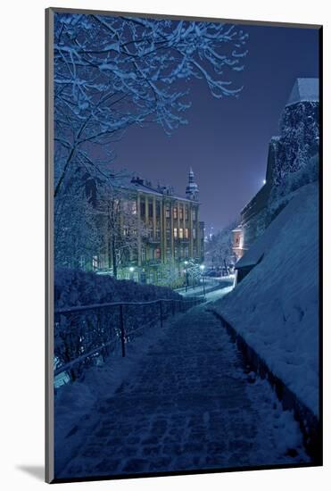 One Winter Night-duallogic-Mounted Photographic Print