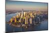 One World Trade Center and Lower Manhattan, New York City, New York, USA-Jon Arnold-Mounted Premium Photographic Print