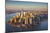 One World Trade Center and Lower Manhattan, New York City, New York, USA-Jon Arnold-Mounted Premium Photographic Print