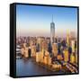 One World Trade Center and Lower Manhattan, New York City, New York, USA-Jon Arnold-Framed Stretched Canvas