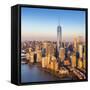 One World Trade Center and Lower Manhattan, New York City, New York, USA-Jon Arnold-Framed Stretched Canvas