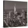 One World Trade Center and Lower Manhattan, New York City, New York, USA-Jon Arnold-Stretched Canvas