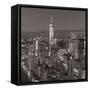 One World Trade Center and Lower Manhattan, New York City, New York, USA-Jon Arnold-Framed Stretched Canvas