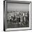 One World Trade Center and Lower Manhattan, New York City, New York, USA-Jon Arnold-Framed Photographic Print