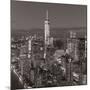 One World Trade Center and Lower Manhattan, New York City, New York, USA-Jon Arnold-Mounted Photographic Print