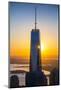 One World Trade Center, Lower Manhattan, New York City, New York, USA-Jon Arnold-Mounted Photographic Print