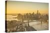 One World Trade Center, Manhattan and Brooklyn Bridges, Manhattan, New York City, New York, USA-Jon Arnold-Stretched Canvas