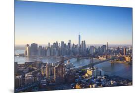 One World Trade Center, Manhattan and Brooklyn Bridges, Manhattan, New York City, New York, USA-Jon Arnold-Mounted Photographic Print