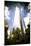 One World Trade Center-Philippe Hugonnard-Mounted Giclee Print