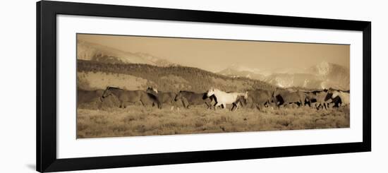 One-Dan Ballard-Framed Photographic Print