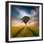 One-Piotr Krol (Bax)-Framed Photographic Print