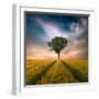 One-Piotr Krol (Bax)-Framed Photographic Print