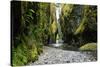 Oneonta Creek in Oneonta Gorge, Columbia River National Scenic Area, Oregon, United States-Craig Tuttle-Stretched Canvas