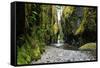 Oneonta Creek in Oneonta Gorge, Columbia River National Scenic Area, Oregon, United States-Craig Tuttle-Framed Stretched Canvas