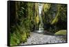 Oneonta Creek in Oneonta Gorge, Columbia River National Scenic Area, Oregon, United States-Craig Tuttle-Framed Stretched Canvas