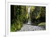 Oneonta Creek in Oneonta Gorge, Columbia River National Scenic Area, Oregon, United States-Craig Tuttle-Framed Photographic Print