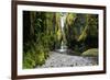 Oneonta Creek in Oneonta Gorge, Columbia River National Scenic Area, Oregon, United States-Craig Tuttle-Framed Photographic Print