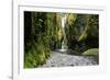 Oneonta Creek in Oneonta Gorge, Columbia River National Scenic Area, Oregon, United States-Craig Tuttle-Framed Photographic Print