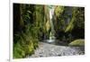 Oneonta Creek in Oneonta Gorge, Columbia River National Scenic Area, Oregon, United States-Craig Tuttle-Framed Photographic Print