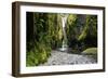 Oneonta Creek in Oneonta Gorge, Columbia River National Scenic Area, Oregon, United States-Craig Tuttle-Framed Photographic Print