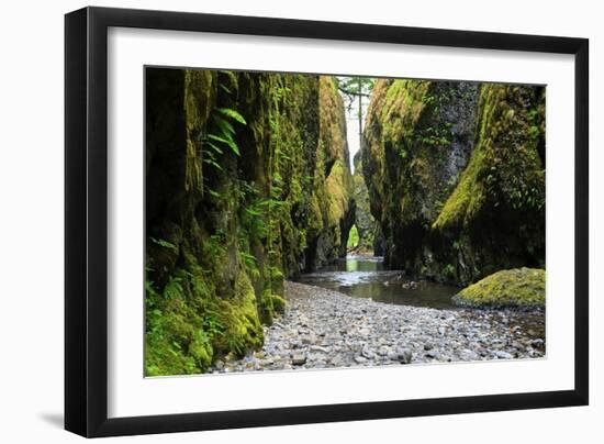 Oneonta Creek in Oneonta Gorge, Columbia River National Scenic Area, Oregon, United States-Craig Tuttle-Framed Photographic Print