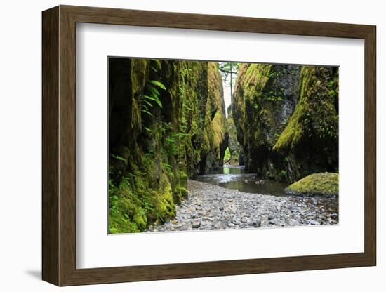 Oneonta Creek in Oneonta Gorge, Columbia River National Scenic Area, Oregon, United States-Craig Tuttle-Framed Photographic Print