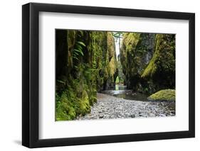 Oneonta Creek in Oneonta Gorge, Columbia River National Scenic Area, Oregon, United States-Craig Tuttle-Framed Photographic Print