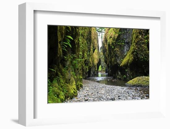 Oneonta Creek in Oneonta Gorge, Columbia River National Scenic Area, Oregon, United States-Craig Tuttle-Framed Photographic Print